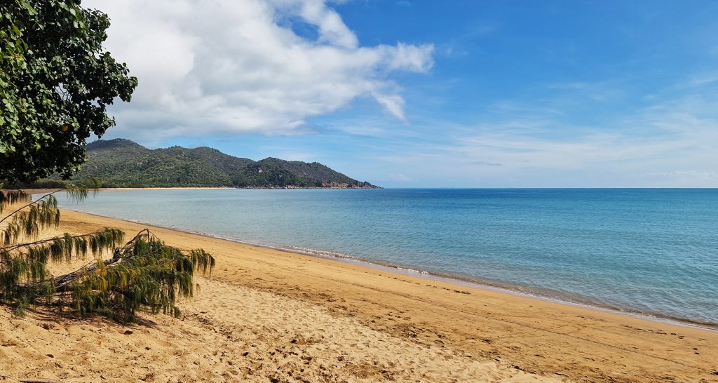 A wide, golden-sand beach stretches along calm, clear blue ocean waters, with gentle waves lapping at the shore. Lush green mountains rise in the distance under a partly cloudy sky, and tree branches frame the foreground on the left.