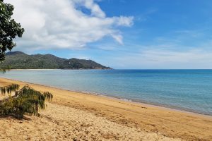 A wide, golden-sand beach stretches along calm, clear blue ocean waters, with gentle waves lapping at the shore. Lush green mountains rise in the distance under a partly cloudy sky, and tree branches frame the foreground on the left.
